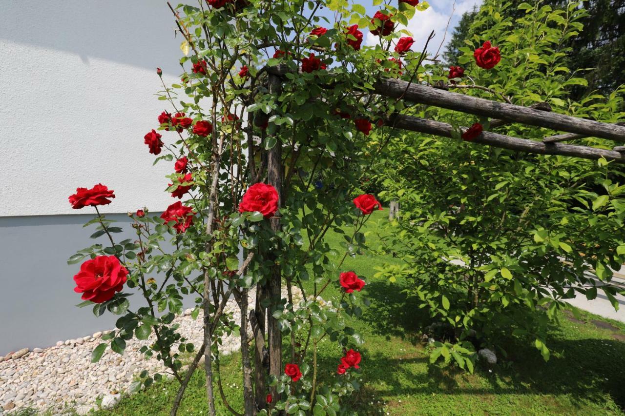 Adventure Cottage With Pool And Big Garden Bled Exterior photo